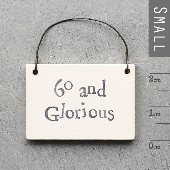 Little Word Sign - 60 & Glorious