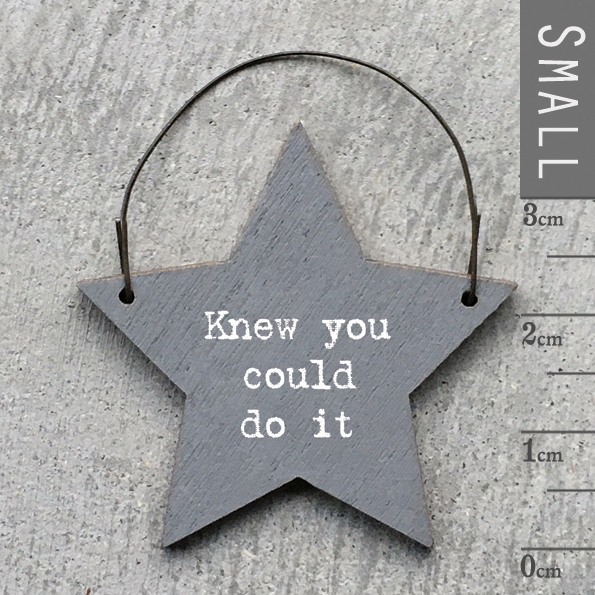 Little Star Sign - Knew You Could Do It